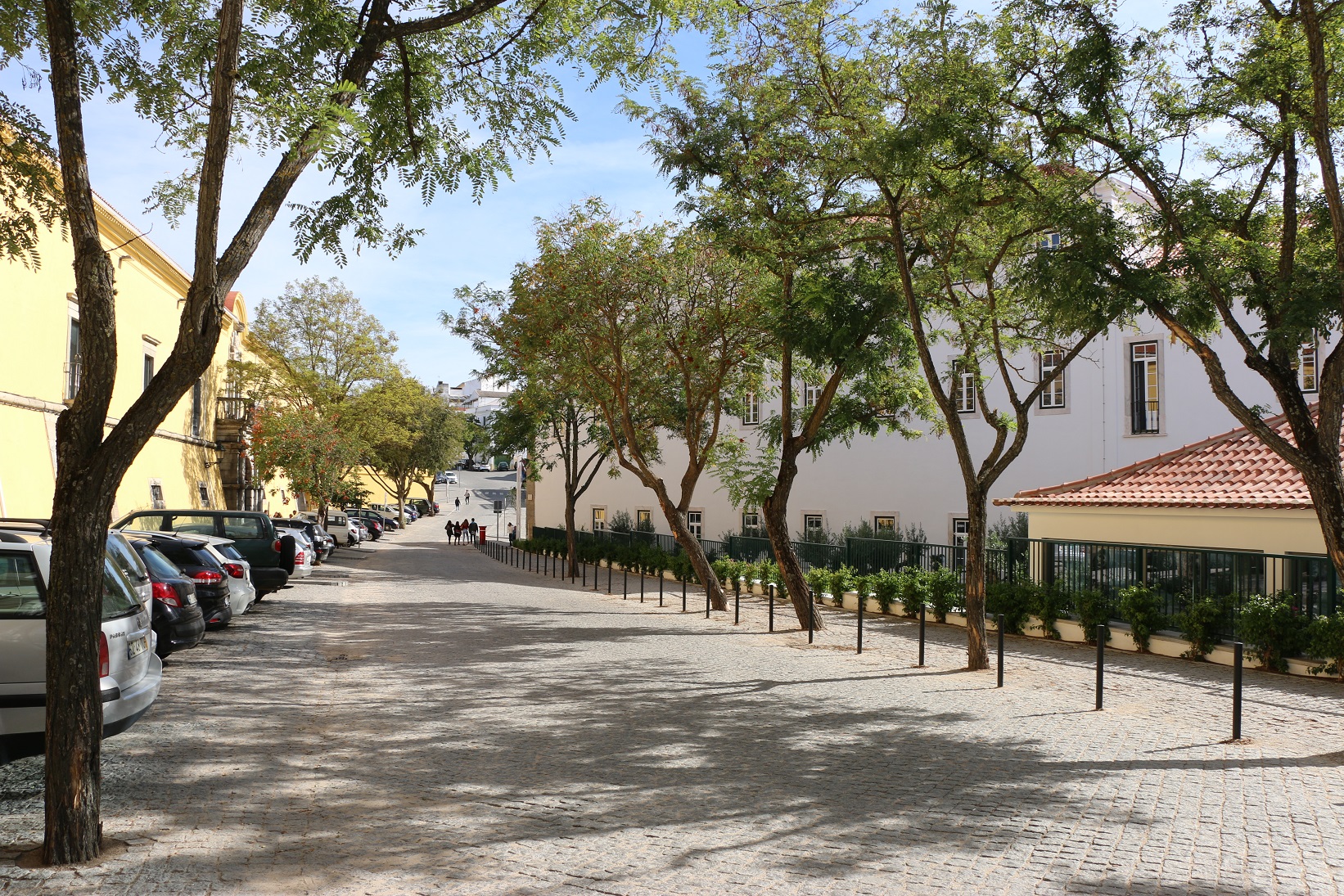 Avenida-14-de-Janeiro