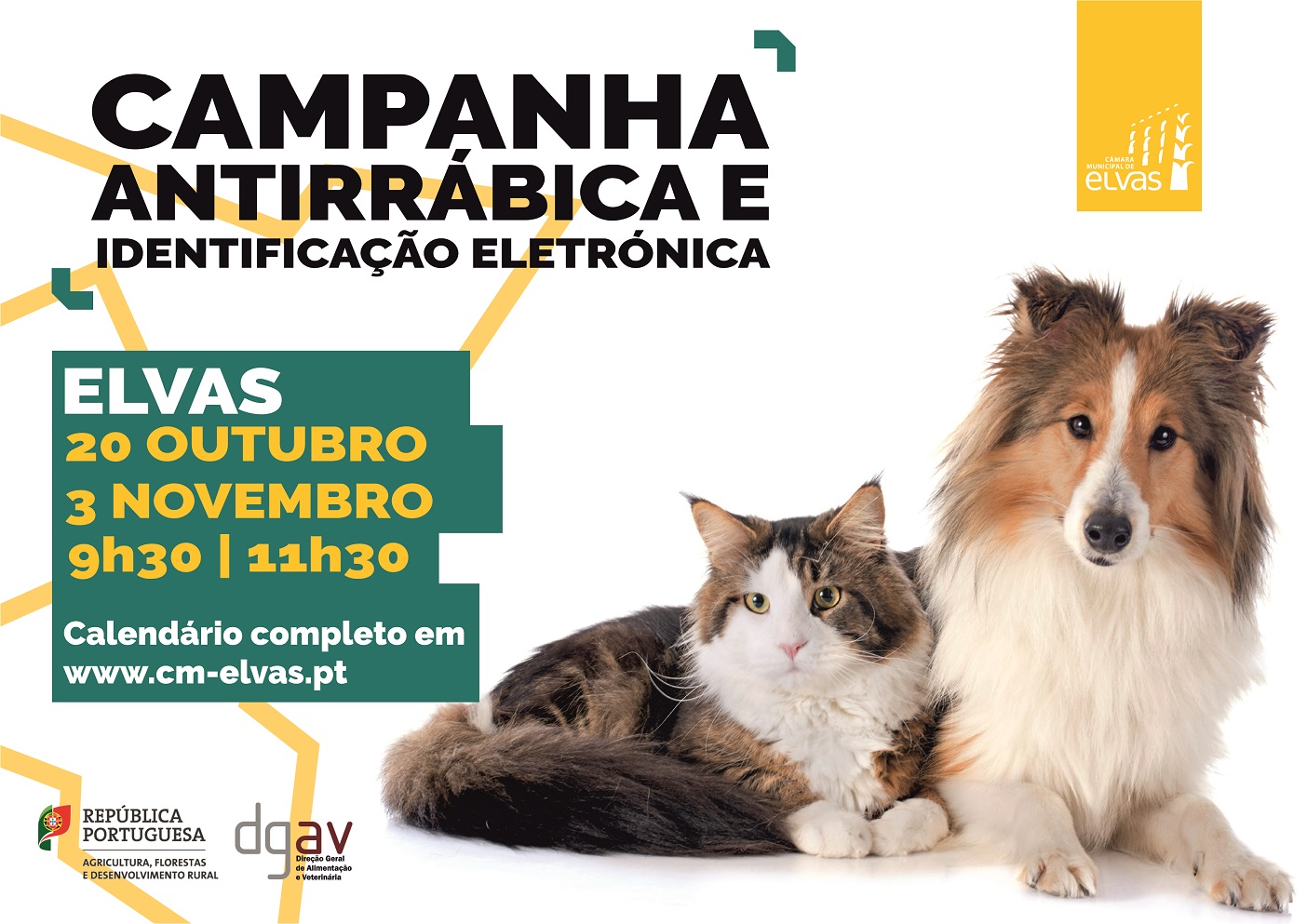 cartaz campanha vacinacao 2020