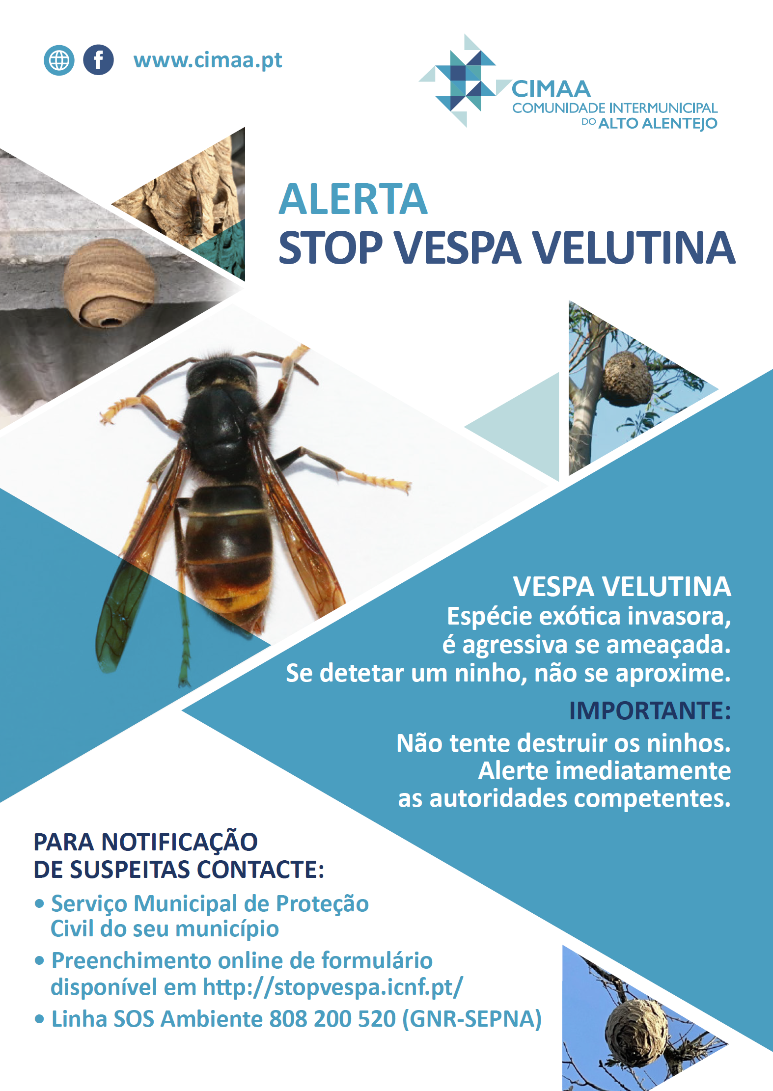 cartaz vespa velutina