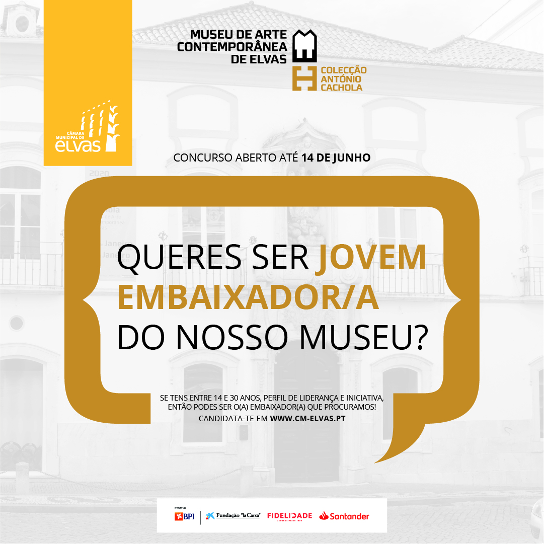 Concurso Jovens Embaixadores MACE_facebook
