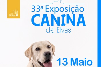 33ª Exposição Canina Internacional no dia 13
